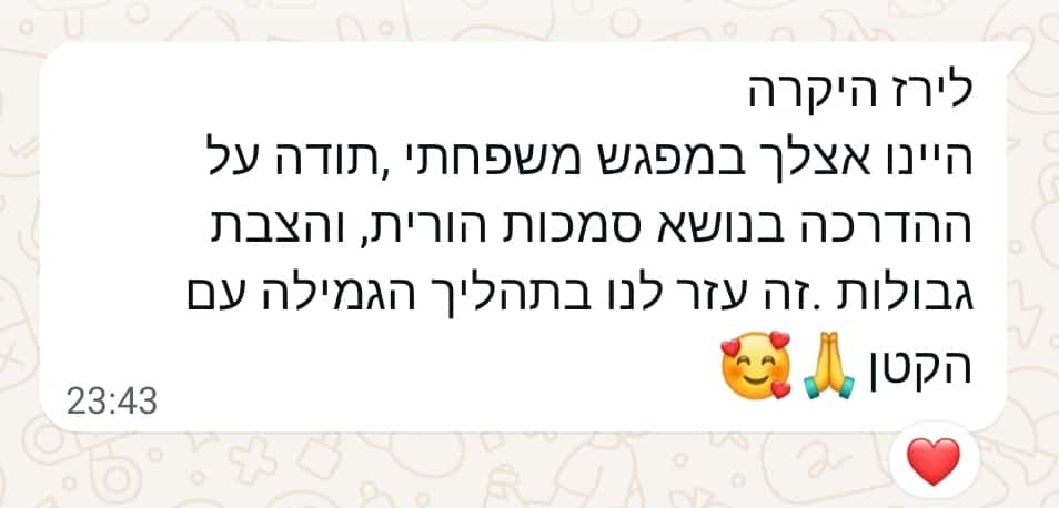 המלצה 1