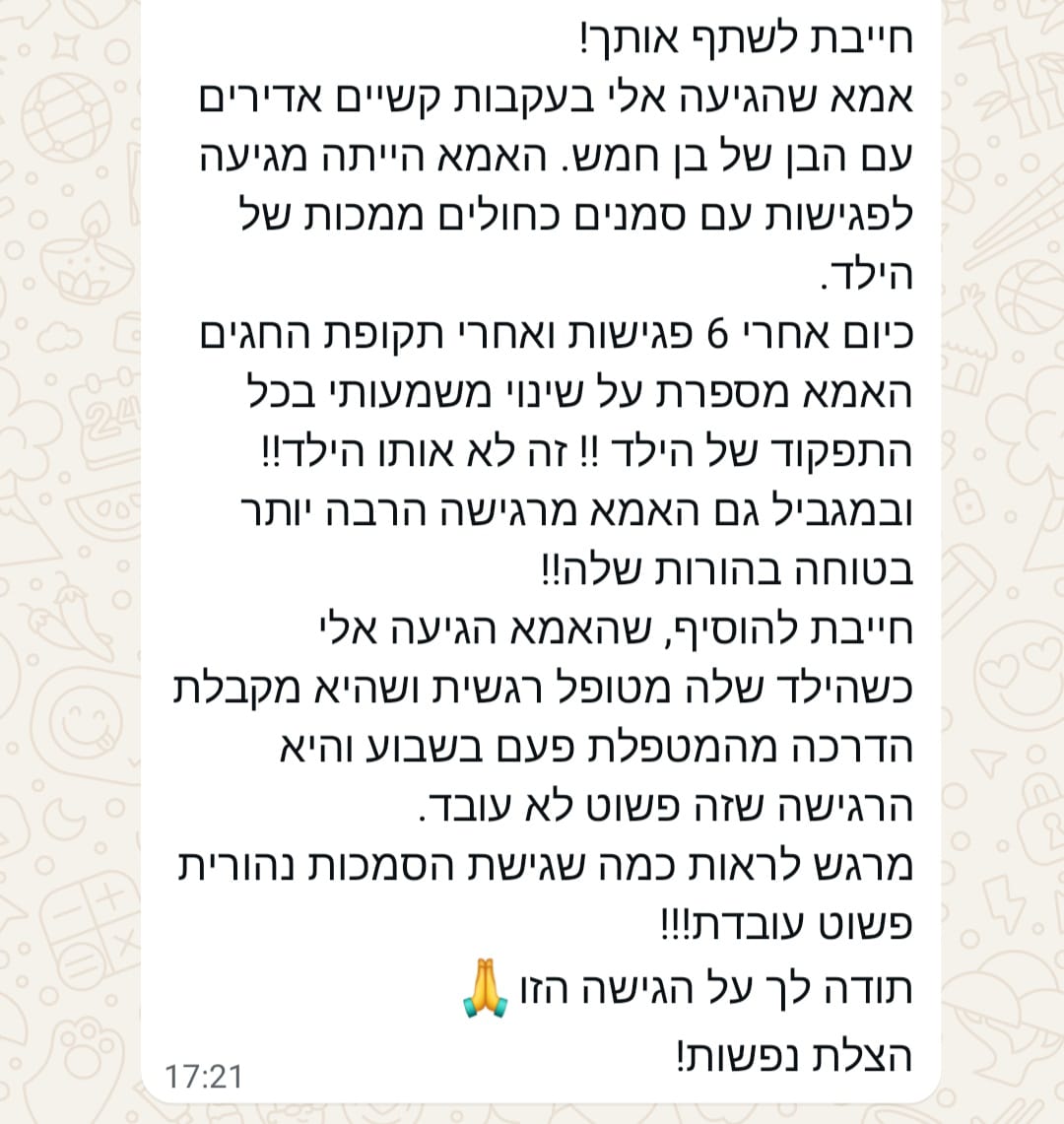 המלצה 2